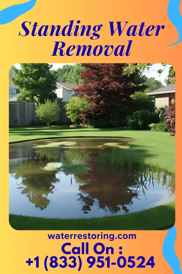 Standing Water Removal in Elkhart, IL